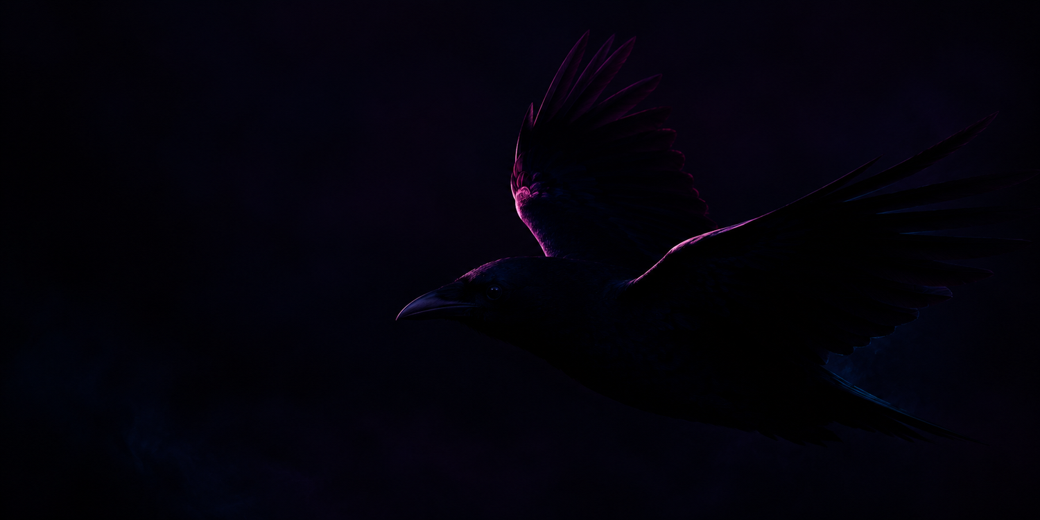 In the Dark (Coming soon)